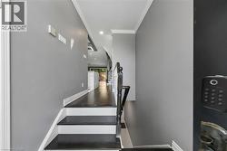 Staircase with dark treads and white risers, framed by a dark wood-finish handrail - 