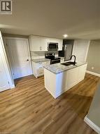 25 HICKERY Place Unit# BASEMENT Brantford, ON N3S 3C7
