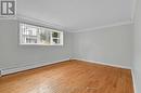 Apt 1 Lower Level - Living Room - 55 Ivy Crescent, Ottawa, ON 
