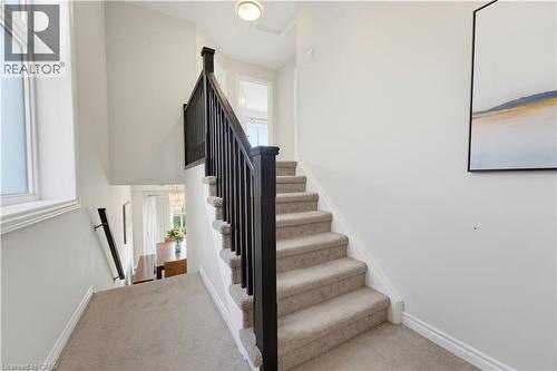 251 Cranbrook Street, Kitchener, ON 