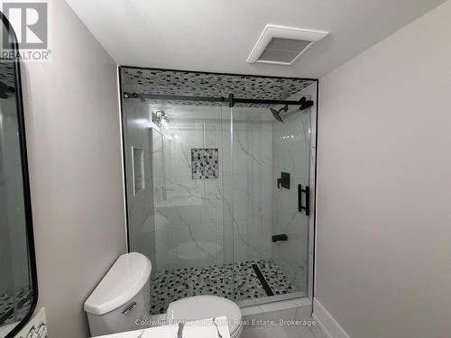 Basement Shower - 157 South Creek Drive, Kitchener, ON 