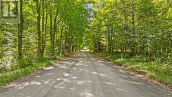 1321 CROWE RIVER ROAD N Trent Hills, ON K0L 1L0