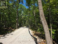 38 MARBLE POINT ROAD Marmora And Lake (Marmora Ward), ON K0K 2M0