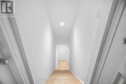 3390 Frobex Court, Mississauga, ON 