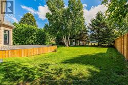 Backyard - 