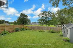 Backyard - 