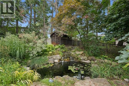 Water feature with rock accents, mature trees, dense foliage, and a wooden shed - 334 Coleridge Drive, Waterloo, ON 