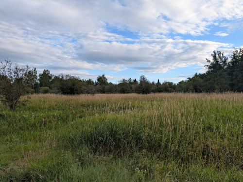 Terre/Terrain - Ch. De La Pointe, Preissac, QC 