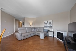 Salon - 