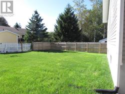 Fenced Rear Yard - 