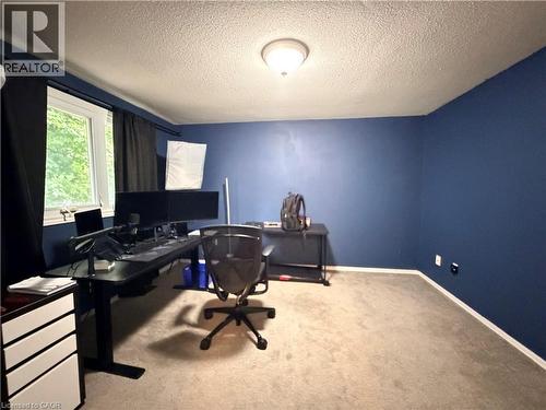 Carpeted room with a ceiling-mounted light fixture, white trim, and a window with a white frame - 450 Bridge Street W, Waterloo, ON 