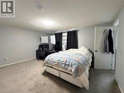 Wall-to-wall carpeting with light gray walls and white trim - 