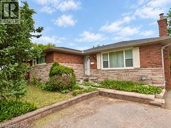 A.I. Enhanced - 