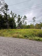 1006 CHIPPAWA AVENUE Gravenhurst (Muskoka (S)), ON P1P 1R1