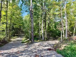 00 NORTH LOT HIGHWAY 62 Madoc, ON K0K 2K0
