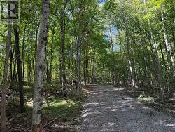 00 MIDDLE LOT HIGHWAY 62 Madoc, ON K0K 2K0