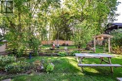 Spacious Back Yard - 