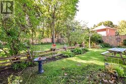 Back Yard - 