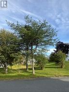 15 Cedar Drive St. John's, NL A1A 4X4
