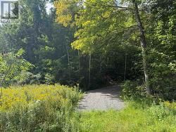 00 SOUTH LOT HIGHWAY 62 Madoc, ON K0K 2K0