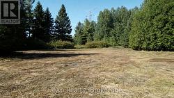 133272 ALLAN PARK ROAD West Grey, ON N4N 3B8
