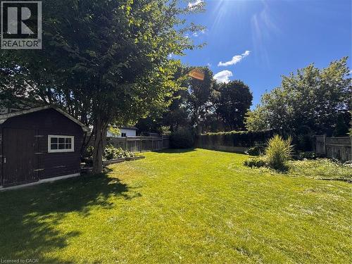 Expansive backyard featuring a manicured lawn, mature trees, a wooden storage shed with a white-framed window, and a perimeter fence - 225 Bridgeport Road E, Waterloo, ON 