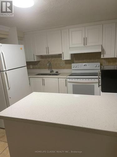 LOWER - 31 MADAWASKA AVENUE , Toronto, Ontario M2M 2R1 5