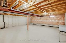 Unfinished basement - 