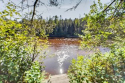 Vue sur l'eau - 
