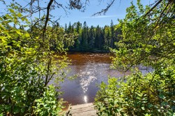 Vue sur l'eau - 
