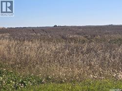 Hagen quarter Birch Hills Rm No. 460, SK S0J 0G0