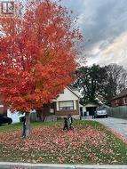 MAIN - 12 CONISTON ROAD  Toronto, ON M1L 2J7