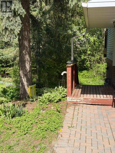 BASEMENT - 12 WILES COURT , Aurora, Ontario L4G 3N5 3