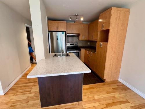 202-2505 Rue Duvernay , Montréal (Le Sud-Ouest), QC H3J 2M5 4