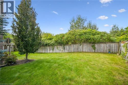 Expansive lawn area featuring a mature tree, privacy fencing, and surrounding established greenery - 517 Topper Woods Crescent, Kitchener, ON 