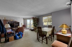 Salon - 