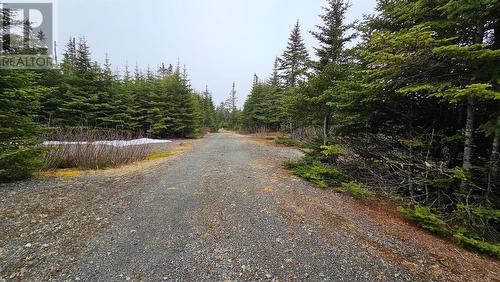 0 Trans Canada Highway, Goobies, NL 