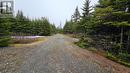 0 Trans Canada Highway, Goobies, NL 