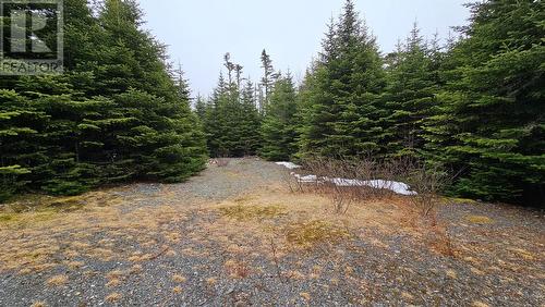 0 Trans Canada Highway, Goobies, NL 