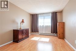Wood-finish flooring with a neutral wall color, large window, and baseboard heating - 