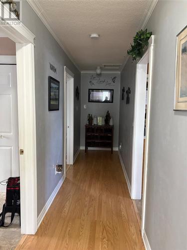 5 White'S Avenue, Stephenville, NL 