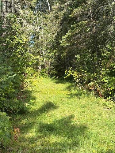 234389 Wendigo Lake Road, Englehart (Central Timiskaming), ON 
