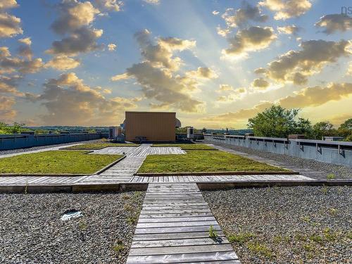 304 6369 Coburg Road, Halifax, NS 