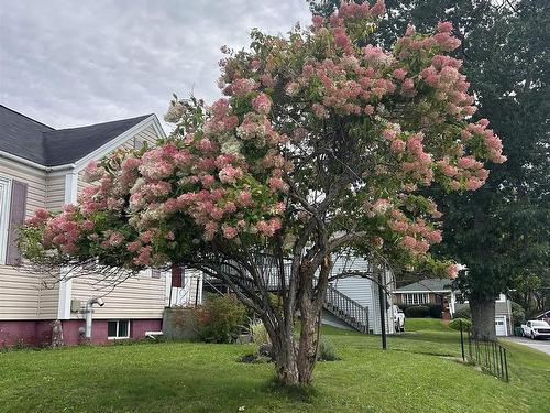 140 Roderick Street, New Glasgow, NS 