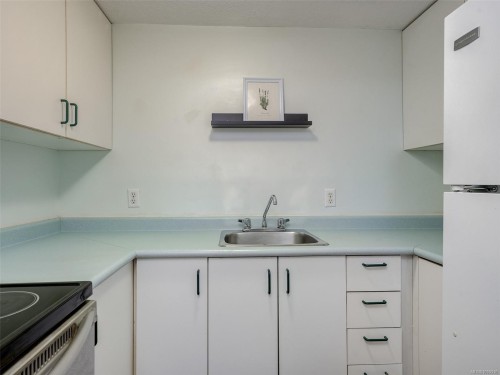 6647 Trudeau Terr, Central Saanich, BC 