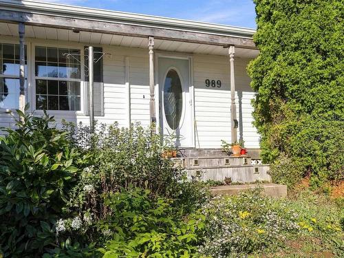 989 Lighthouse Road, Bay View, NS 