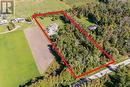 27 Elm Tree Road, Kawartha Lakes (Little Britain), ON 