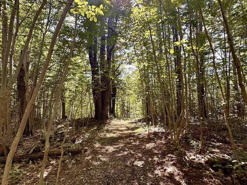 159 Woodstock Road, Clearland, NS 