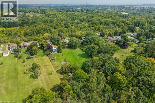 Expansive property featuring a large grassy field, surrounding mature trees, and visible residential structures - 1412 Old York Road, Burlington, ON 