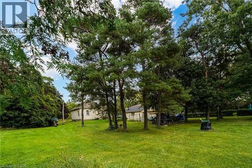 Expansive green lawn with mature trees and a partial view of a single-story structure - 1412 Old York Road, Burlington, ON 